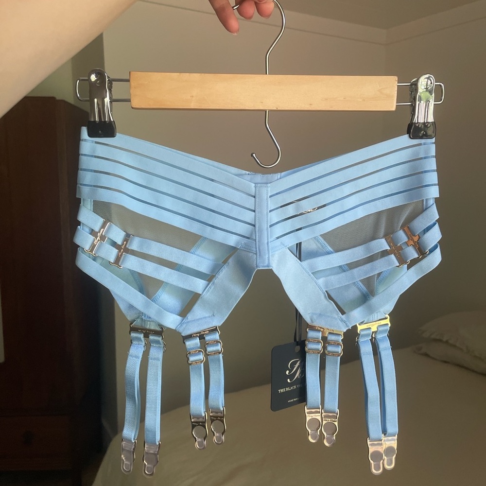 Honey Birdette Linda C Baby Blue Garter Belt💙